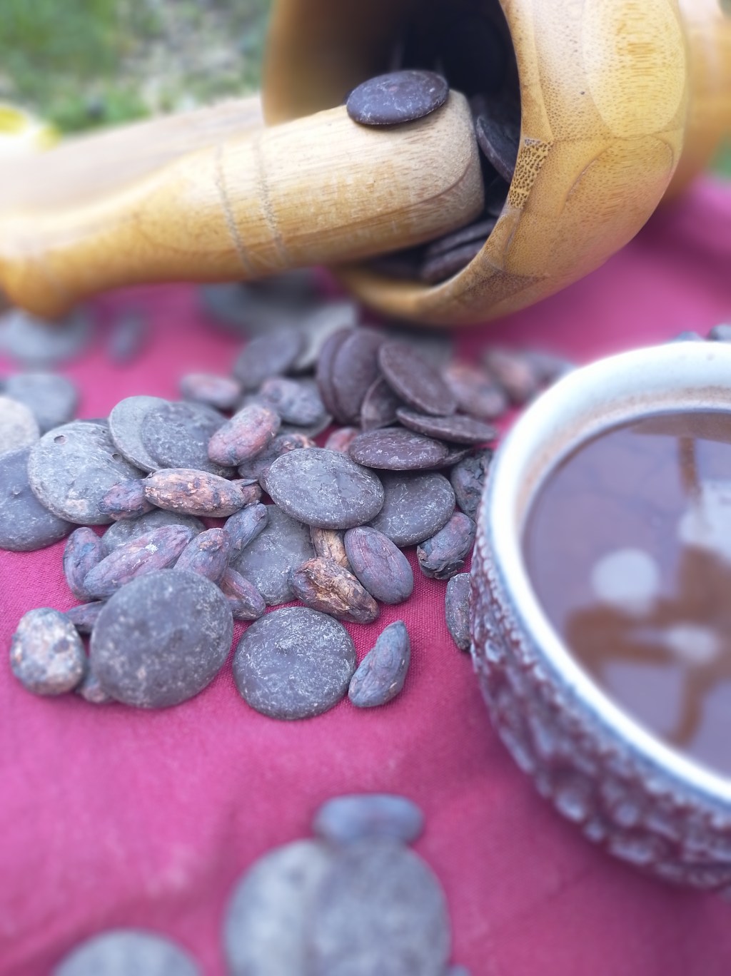 Les bienfaits du&nbsp;cacao