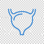 Blue outline of human lungs with bronchial tree structure