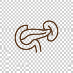 Pancreas icon above four out of five blue stars and the word RATE