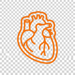 Blue outline of human lungs with bronchial tree structure